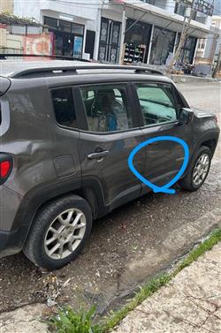 جيب رينيجيد